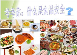 我的飯?zhí)梦易鲋?學(xué)生膳食管理小組帶你走進電職廚房餐飲管理